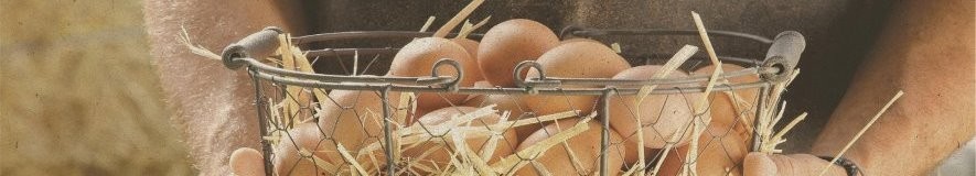 Επιλεγμένα Αβγά  | House of Meat